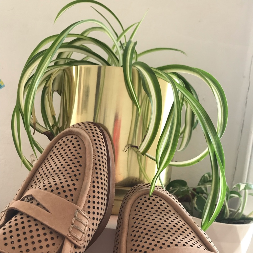 Vine Camuto Shoes